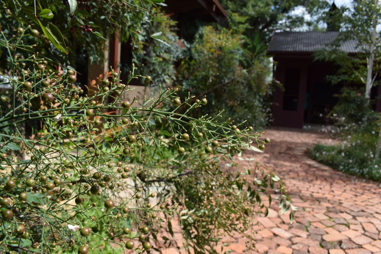 Greenleaf Guest Lodge บลูมฟอนเทน ภายนอก รูปภาพ